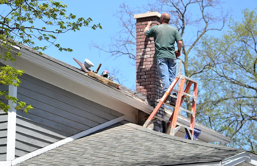Chimney & Fireplace Inspections Services in Stockbridge, GA